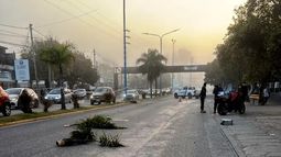 El motociclista chocó contra una palmera del cantero central de la ruta 25. El motociclista chocó contra una palmera del cantero central de la ruta 25.