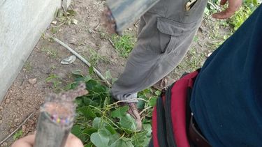 Tel Viso denuncia que es permanente el robo de cables y postes que abastecen el servicio de telefonía e internet.&nbsp;