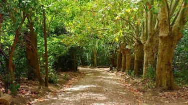 SENDERO. El ambiente natural del parque recibirá a los artesanos..