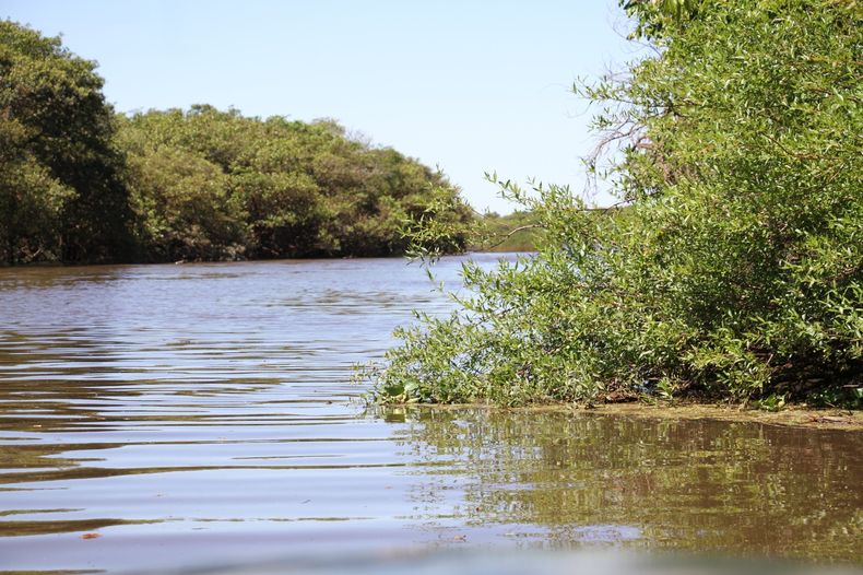 TRAVESÍA. La ribera del río Mirinay por la que nadarán los representantes pilarenses.