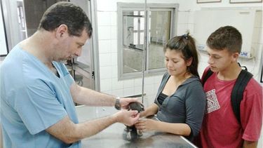 Pilar a Diario | SU CASA. Claudio García en la veterinaria a la que se instaló en el año 1991..