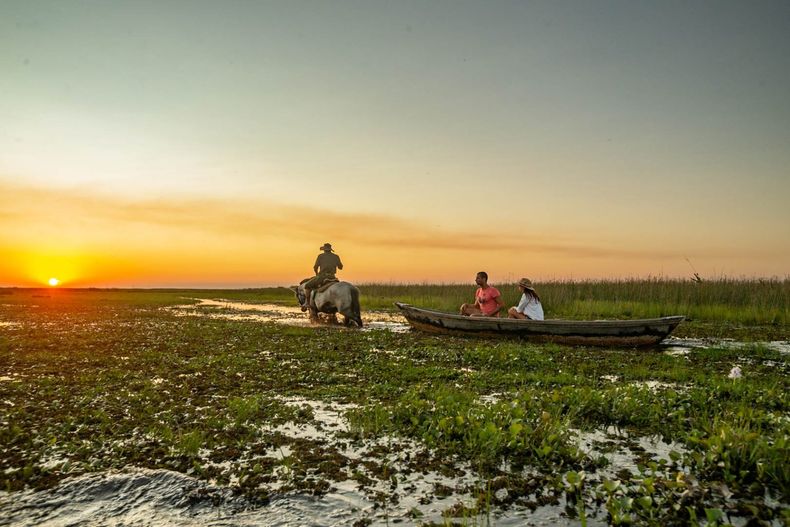 Los Esteros del Iberá son un destino fascinante, según la National Geographic. (msn.com)..jpg