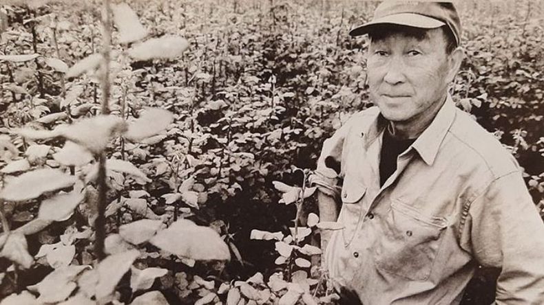 FLORES. En Zelaya se cultivan rosas, claveles y crisantemos..