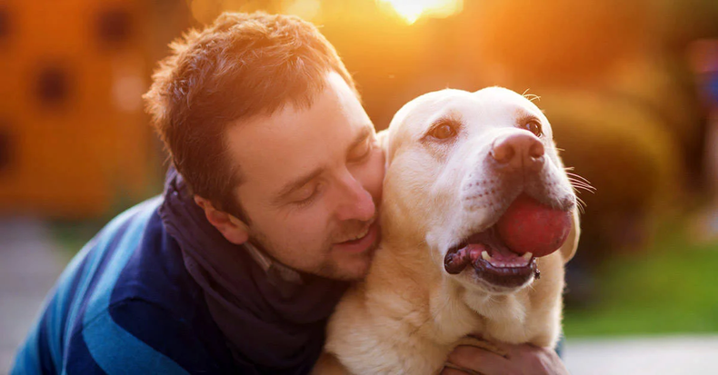 Que los animales dejen de ser considerados bienes. (bioguía.com)..webp