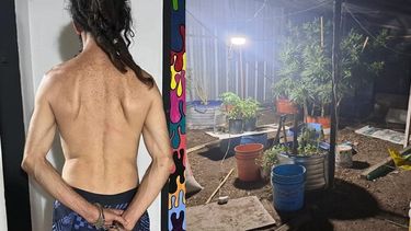 El detenido tenía armas y gran cantidad de plantas de marihuana.