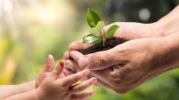 Día Nacional de la Conciencia Ambiental