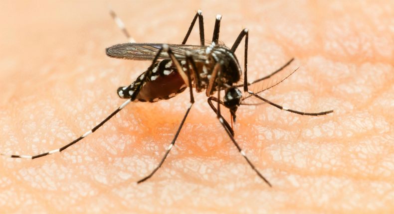 De acuerdo al último reporte del Ministerio de Salud, bajaron los casos pero subió el número de fallecidos por Dengue.