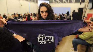 NO A LA VIOLENCIA DIGITAL. La Ley Olimpia argentina avanza en la Cámara de Diputados.&nbsp;
