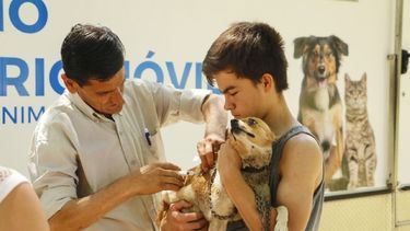 Cronograma del Quirófano Veterinario Móvil de agosto