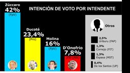 Una encuesta da ganador a Zúccaro por amplio margen