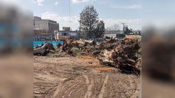Realmente triste cómo preservaron el espacio verde para la reforma de la estación José C Paz. También me gustaría comentar que los guardas del Andén 2 me pidieron “poco amablemente” que no tomara fotos. El gendarme se quedó callado. Micaela. .