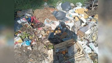 Esto es el basural de la calle Seguí y Los Aromos, en La Lonja. Se llena de camiones municipales trayendo basura de todos lados y prenden fuego. Nos tapa el humo y tenemos que tener todo cerrado. Por favor si nos pueden ayudar. Las fotos son solo de la entrada, al fondo del predio están las montañas de mugre. Carlos Ros..