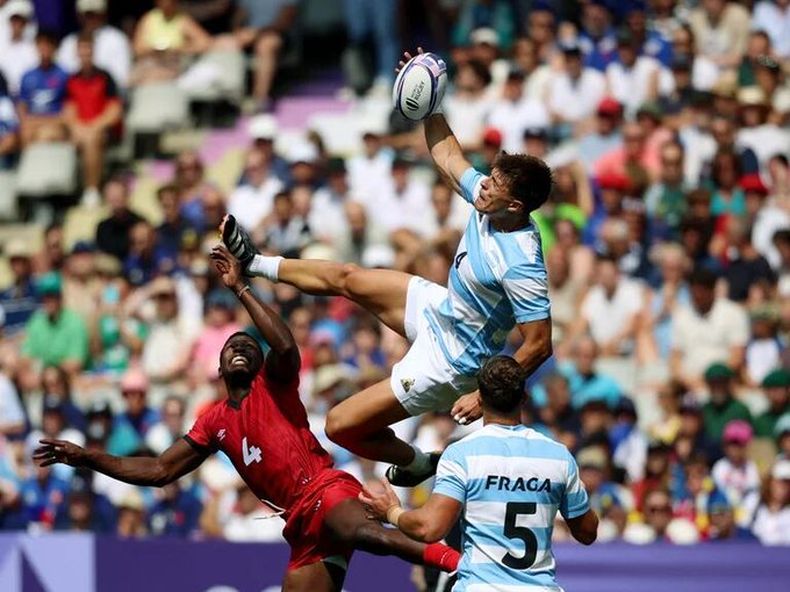 pumas.jfif