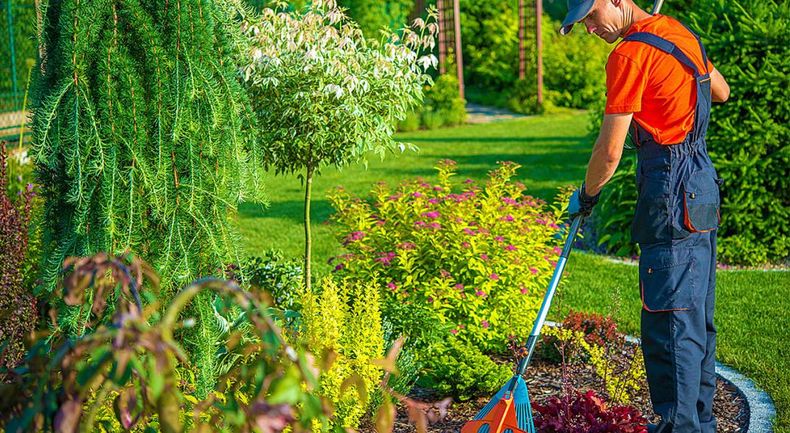Preparando el terreno para el jardín de Primavera. (monoqerre.fr). .jpg