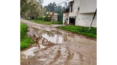 Foto de lectores