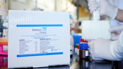 CONICET: Especialistas desarrollaron el primer test para el diagnóstico del dengue