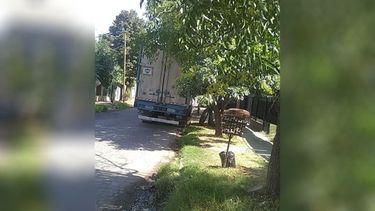 Dieron la noticia lamentable por la muerte de una mujer por la caída de un árbol. Los vecinos de Los Robles del Monarca reclamamos, sin respuesta, la poda urgente y responsable de árboles de más de 25 metros que amenazan bienes y personas. Expedientes, cartas documento, redes, nada parece movilizar a los funcionarios. Comparto fotos de algunos incidentes. Itatí Carvajal. .