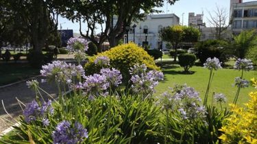 Cerramos la semana con esta bella postal de uno de los rincones de nuestra querida #Plaza12DeOctubre, con una superficie de aproximadamente una hectárea y media, cubierta de vegetación, monumentos, senderos y pérgolas. Pilar Turismo / @PilarTurismo..