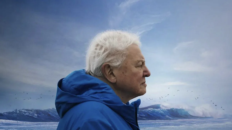 Océanos, el nuevo documental David Attenborough. (forbes.es)..webp