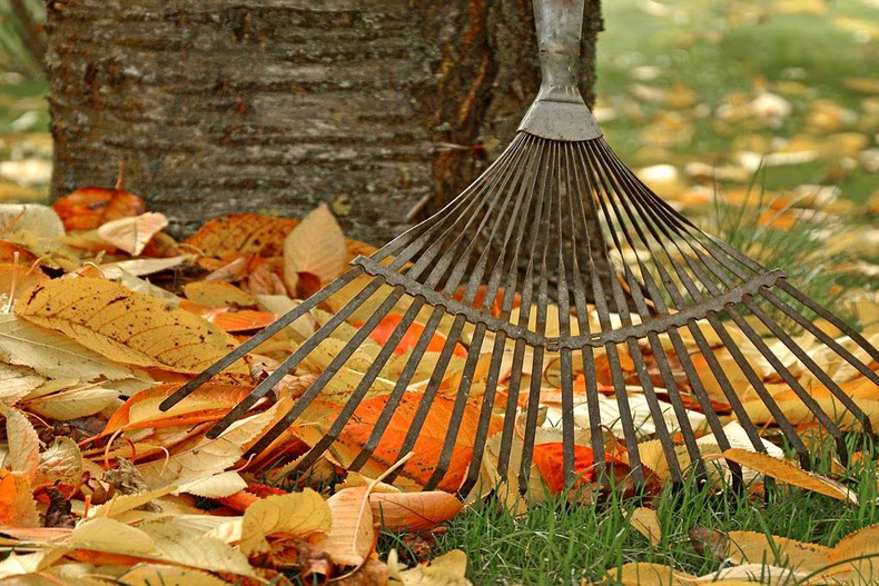En otoño hay que limpiar el jardín. (lavoz.com.ar)..png