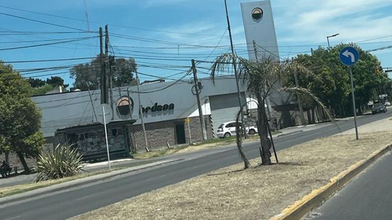 Avenida Beliera, ex Ruta 8. Las palmeras a las que tanto les costó crecer se están secando, es una pena y perdida triste. Los vecinos pedimos y rogamos que las rieguen con los riegos municipales. Por favor. Lucía..