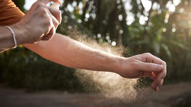 El uso de repelentes, ropa que cubra el cuerpo y espirales ayuda a evitar las picaduras.