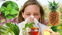 ¡Respira tranquilo! Estas plantas son contra la rinitis alérgica