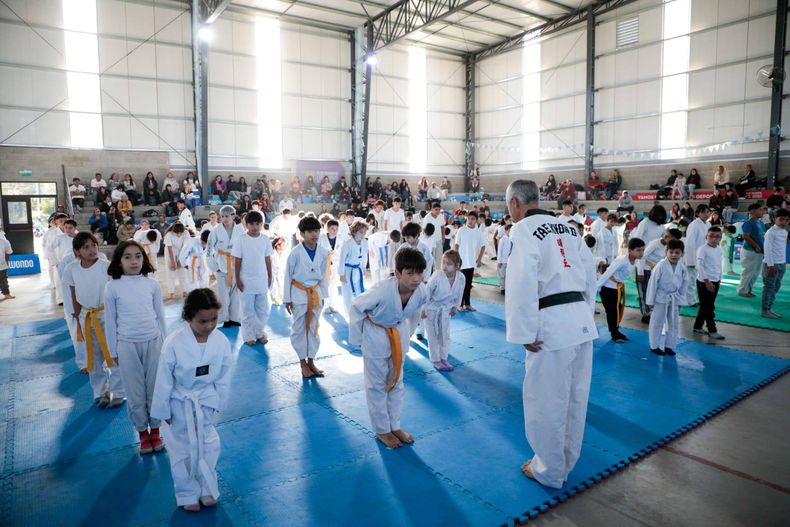 Liga Municipal de Taekwondo 4.jpg