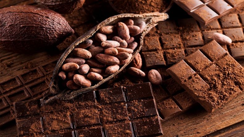 El chocolate llegó a Bariloche a comienzos del siglo XX. ( cucinare.tv)..jpg