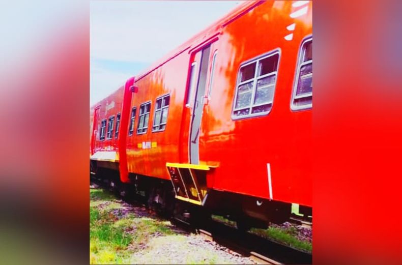 El fatal hecho tuvo lugar en las vías del Belgrano Norte, en la localidad de Del Viso.&nbsp;