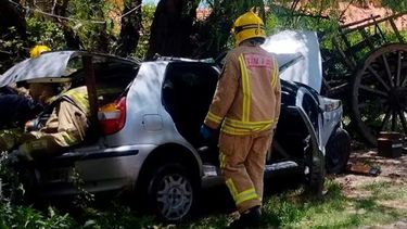 El auto se estrelló contra un árbol tras quedarse sin frenos.