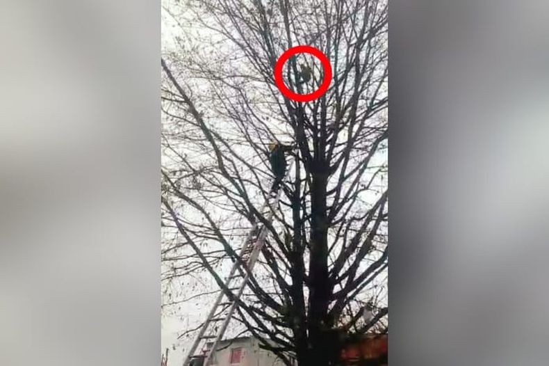 El bombero intenta salvar al adolescente.&nbsp;