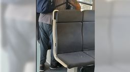 Animales HDRMP vandalizando (arrojando piedras a la formación) entre Sol y Verde (qué raro) y estación Derqui. Tengan cuidado. Baltazar Sueldo.