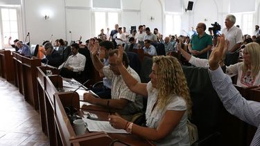 A MANO ALZADA. Por mayoría, el HCD le dio luz verde a los supermercados chinos..