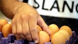 Argentina, líder mundial en consumo de huevos Argentina, líder mundial en consumo de huevos