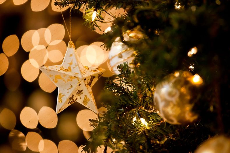 El árbol de Navidad es un símbolo de paz y solidaridad. (hyatt.com)..jpg