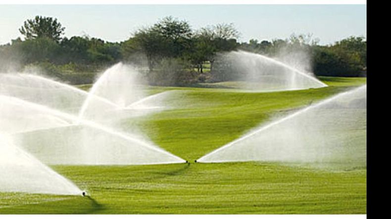 f800x450 26296_77742_5050.jpg