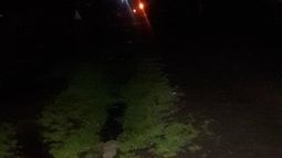 Reclaman por una calle que está sin luz hace un mes