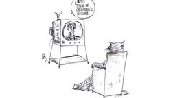 Humor