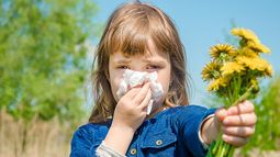 Alergia en primavera: ¿Cómo prevenirla y tratarla?