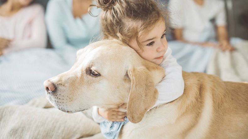 Día del Animal. Foto. Saber vivir..jpg