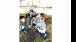 Los chicos de 5º grado colaboraron en la plantación..