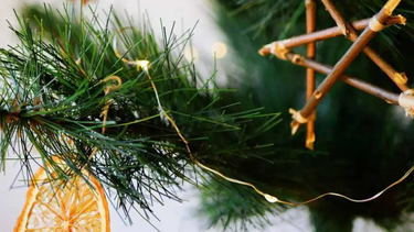 ¿como tener una navidad sostenible? es hora de intentarlo.