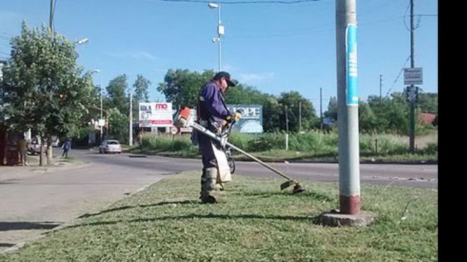 RETORNO. Operarios municipales volvieron a sus tareas..