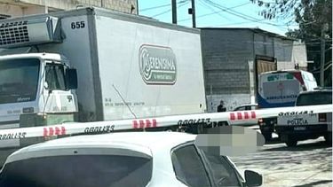 El camión involucrado en el accidente, ocurrido frente a la Escuela 24 de Luis Lagomarsino.&nbsp;