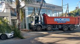 El camión chocó a un poste y una palmera antes de incrustarse en la vidriera de la concesionaria.