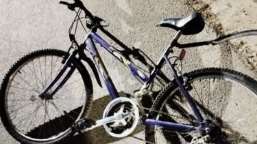 La bicicleta del menor fue recuperada en manos del delincuente.&nbsp;