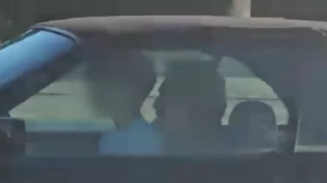 La irresponsabilidad al volante del adulto fue registrada por un automovilista que circulaba por el lugar.&nbsp;