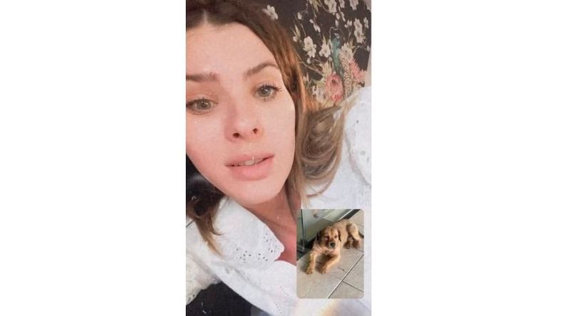 La China Surarez, solidaria con Rulo, un perro del shopping Paseo Pilar. .