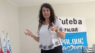CRÍTICAS. Wanger rechazó duramente la reorganización de las Escuelas Municipales. .